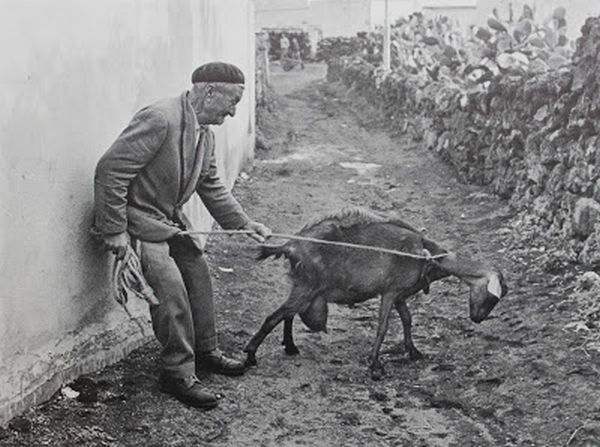 Questa immagine ha l'attributo alt vuoto; il nome del file è 17.-Lollo-foto-reportage-4.jpg