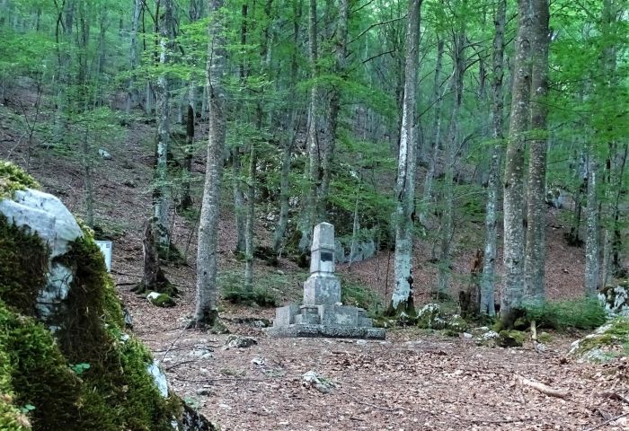 Questa immagine ha l'attributo alt vuoto; il nome del file è VITTORIO-FOTO-12-CAMBI-E-CICHETTI.jpg