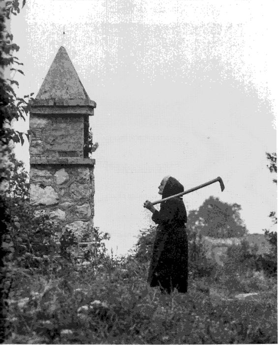 Questa immagine ha l'attributo alt vuoto; il nome del file è AAAA-FOTO-ZAPPA057-1.jpg